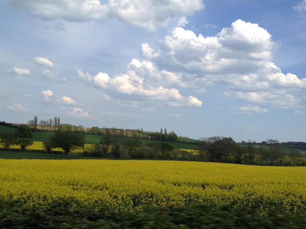 Castle Wilton Bed & Breakfast 2*